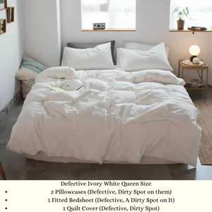 DEFECTIVE Bedsheets Set Quilt Cover Set Only (Not Returnable)