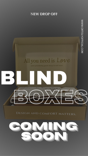Blind Boxes (Please Read T&C Clearly before Place Order)