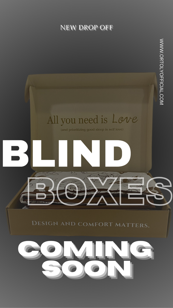 Blind Boxes (Please Read T&C Clearly before Place Order)