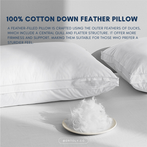 Cotton 5🌟 Hotel-Style Down Feather Pillow | 1100g 1200g Fill | Fluffy & Supportive