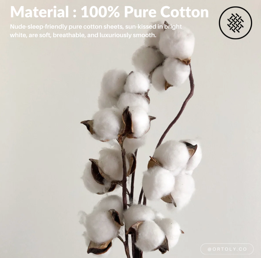 Cotton Mist Blossoms Flora Series (16inch)