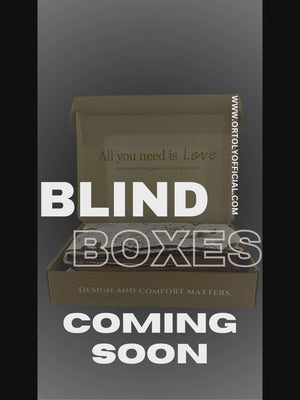 Blind Boxes (Please Read T&C Clearly before Place Order)